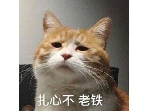 硬核厂商对刚中国玩家，谁刷差评直接封号，5天被刷差评过万