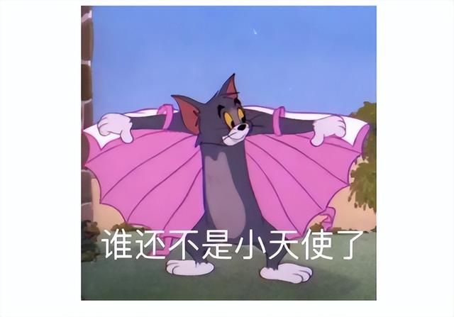 暴雪游戏上线Steam，不支持简中疑国服将开？网友：我起猛了？