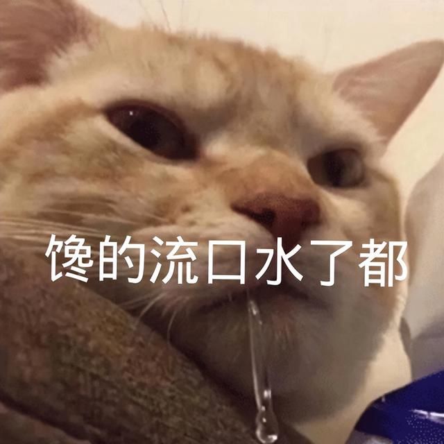 国产修仙游戏上线，掌门给男弟子当舔狗？双修才是版本答案