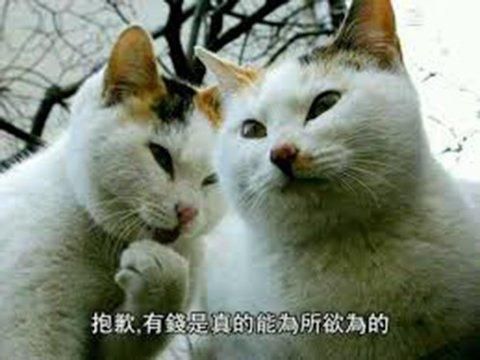 月收入20亿！上架仅一年，这游戏已多次干倒腾讯，位居全球榜首！
