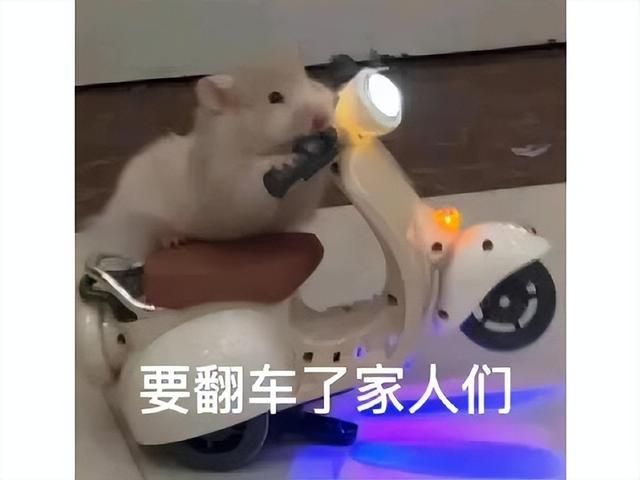 网易曾横扫东南亚的MOBA，如今游戏凉了，网友吐槽被暴雪给拖累