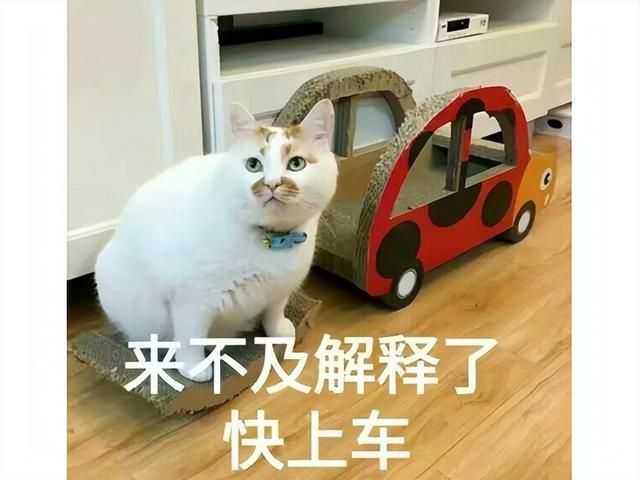 萨尔要回归了？魔兽新剧情元素暴动，炎魔之王又双叒进本了