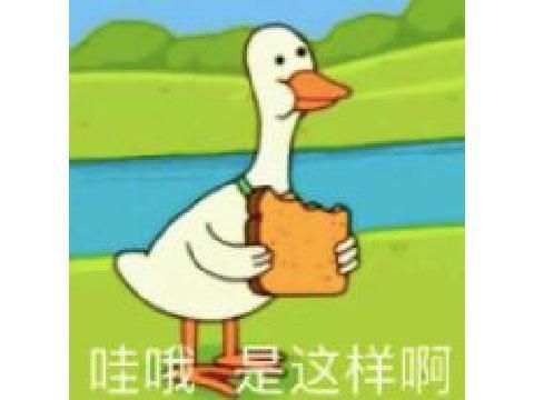 和残疾妹子搞颜色？另类绅士游戏火了，开车的玩家被感动哭了