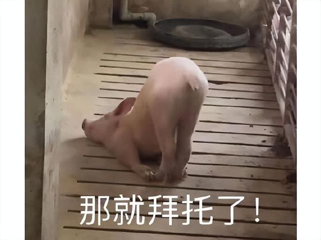 10天众筹183万！二战题材新端游国服上线，玩家：改的太多了！