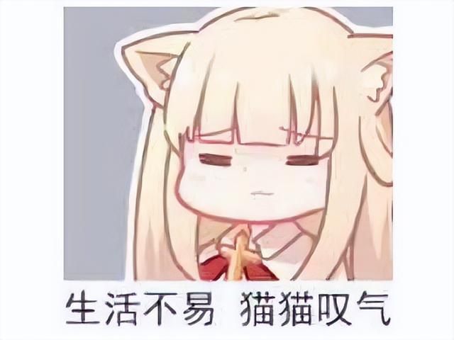 日本人不会做网游？运营六年才停运，玩家表示良心运营
