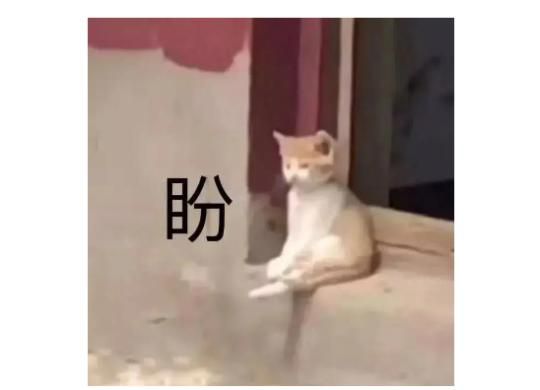 炉石官宣回归时间，全服送2024全年2154张卡，网友：集体失忆了！
