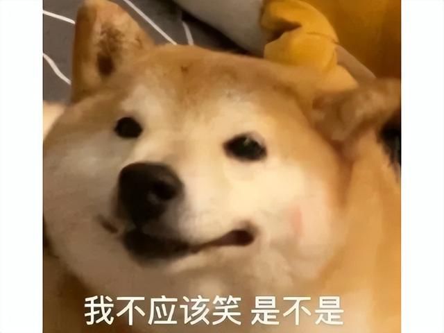 泰坦才是最后大BOSS？魔兽新大陆即将开放，世界树又双叒被烧了！