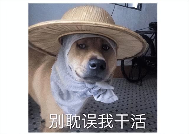 年底又整新活！大受好评的修仙游戏遭大量差评：单机也能炸服务器