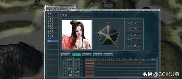 三国志11侠骨留香河洛版：丐帮实力综合分析
