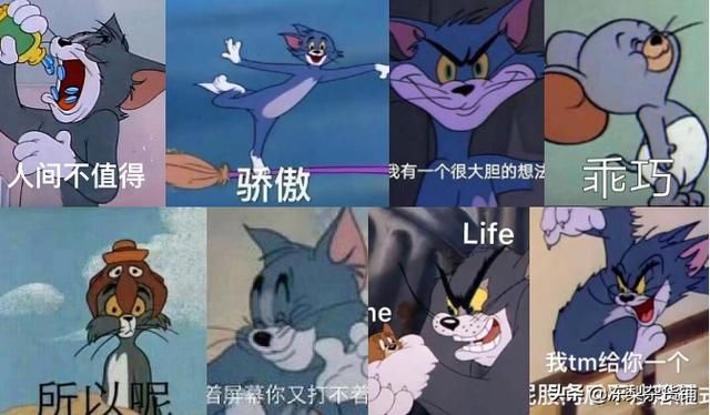 猫和老鼠手游：分析地图常见道具，分点讲述两种角色技巧