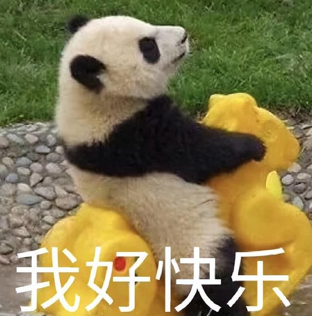 1分钟学会全网任意舞蹈，这款AI工具，快让年轻人精神不正常了