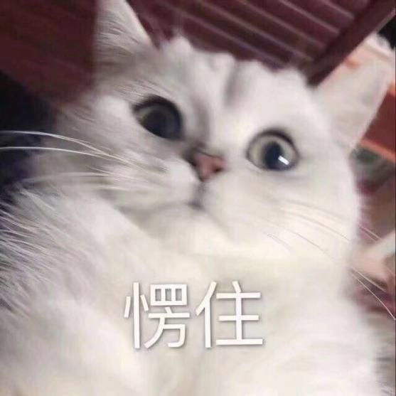 《万国觉醒》登顶，国内SLG终于告别刘关张 迎来新时代