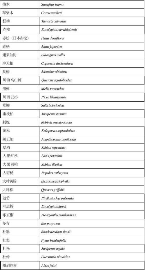 拉丁语名字男及含义，拉丁语名字生成器