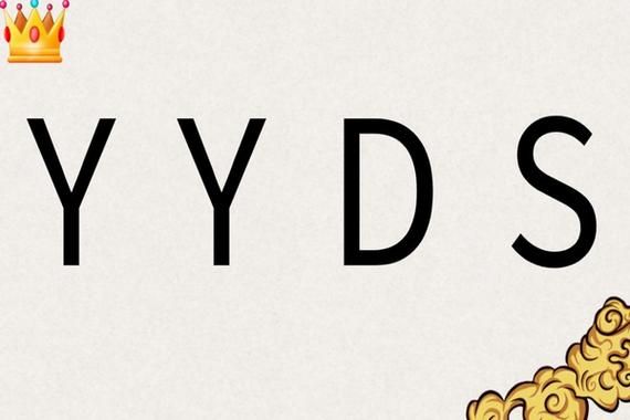 网络词yyds什么意思，比亚迪yyds什么意思