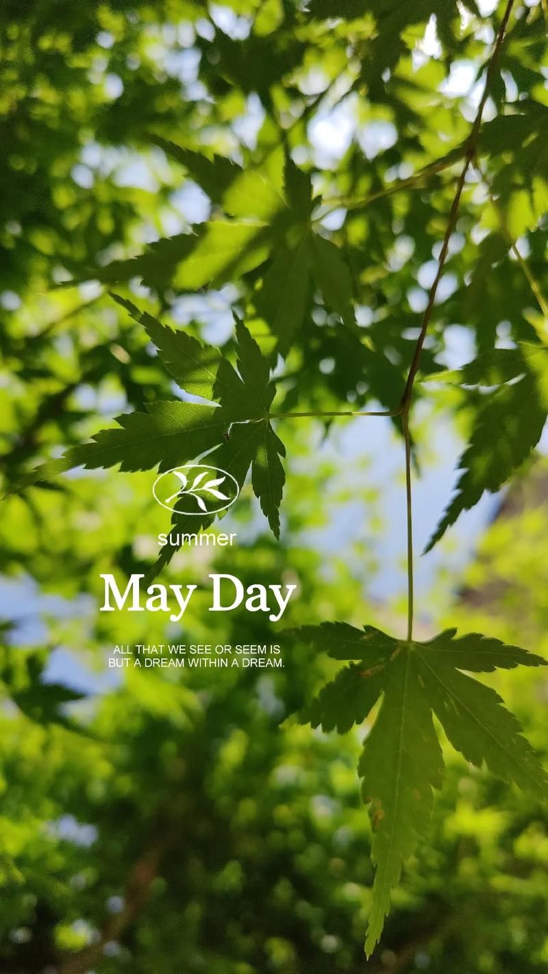 summer days，Summer day江迟同学