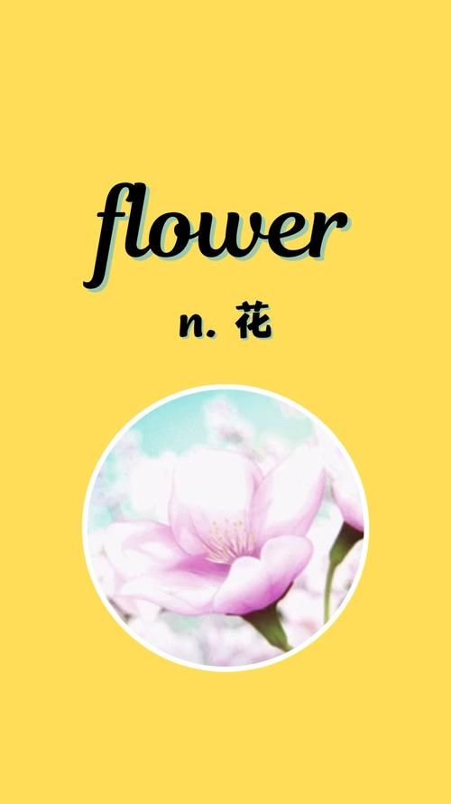 FLOWSTATE是什么意思，flowstate软件简�? style=