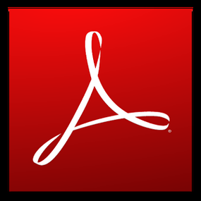 adobe reader 10.1.16无法设置中文，adobe reader 10绿色版