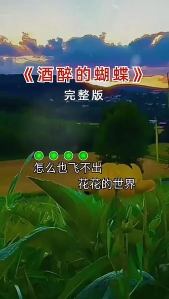 “怎么也飞不出花花的世界”是哪首歌？酒醉的蝴蝶歌曲介绍