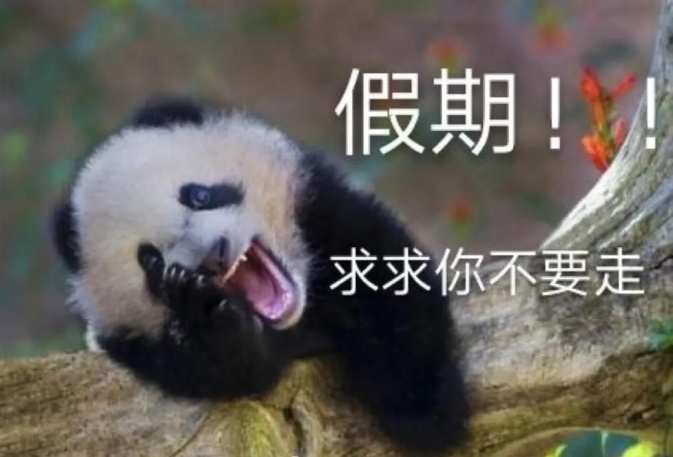 五一假期最后一天，别忘了这些返程小贴士！