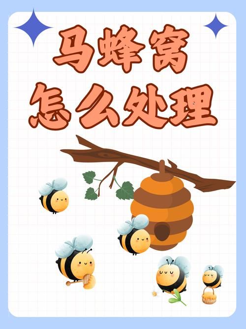 蜂助手靠谱吗？避免上当受骗的实用指南