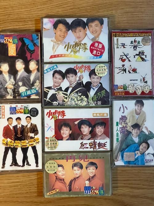 我们还有好多好多年歌曲赏析：歌词含义及情感共鸣