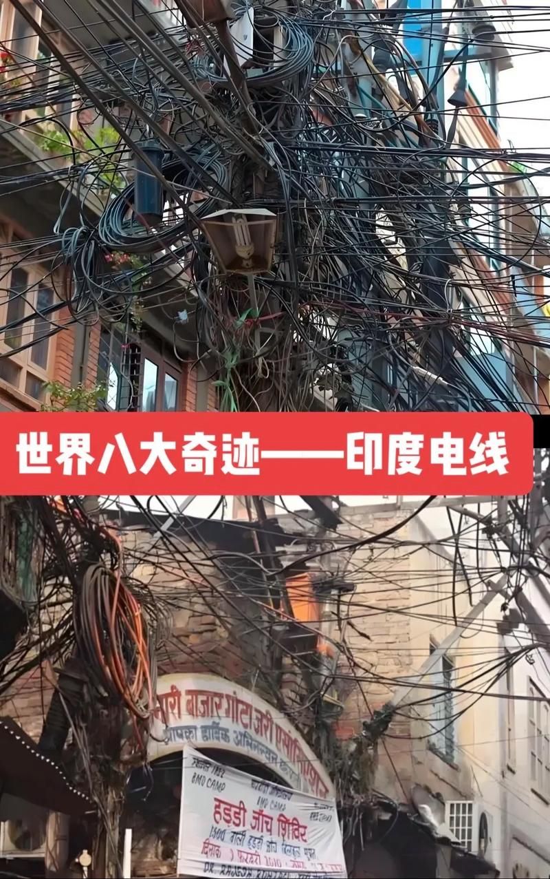 印度“电树”：阳光下发电的植物之谜