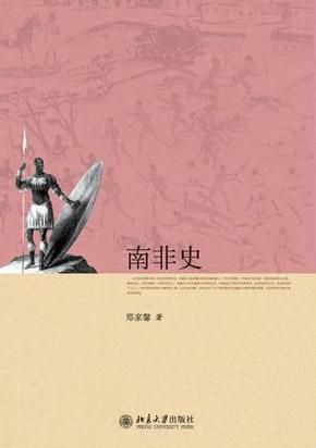 回忆2010年南非世界杯：冠军之夜的激情与泪水