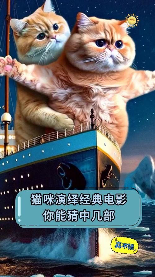 想看电影电视剧？猫咪影视满足你