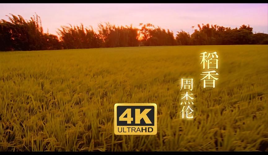稻香影院在线观看：想看啥电影这里都有