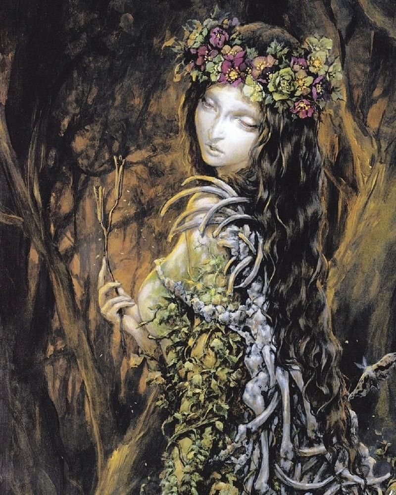 日本插画大师小岛文美：作品赏析与艺术人生