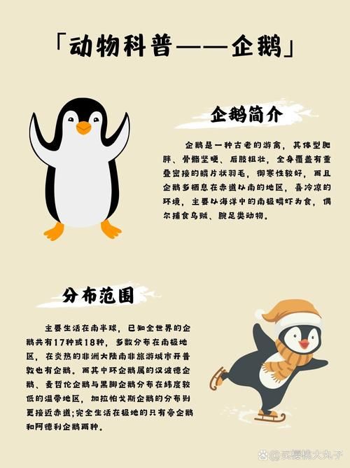 企鹅都吃哪些食物？南极磷虾是主食吗？