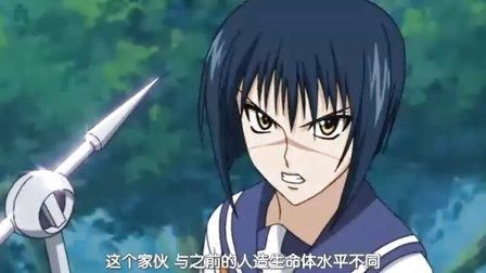 解密武装炼金动漫：炼金术与战斗的完美结合