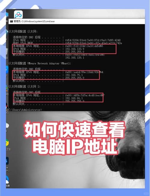 游戏服务器ip地址怎么找？老玩家教你几招！