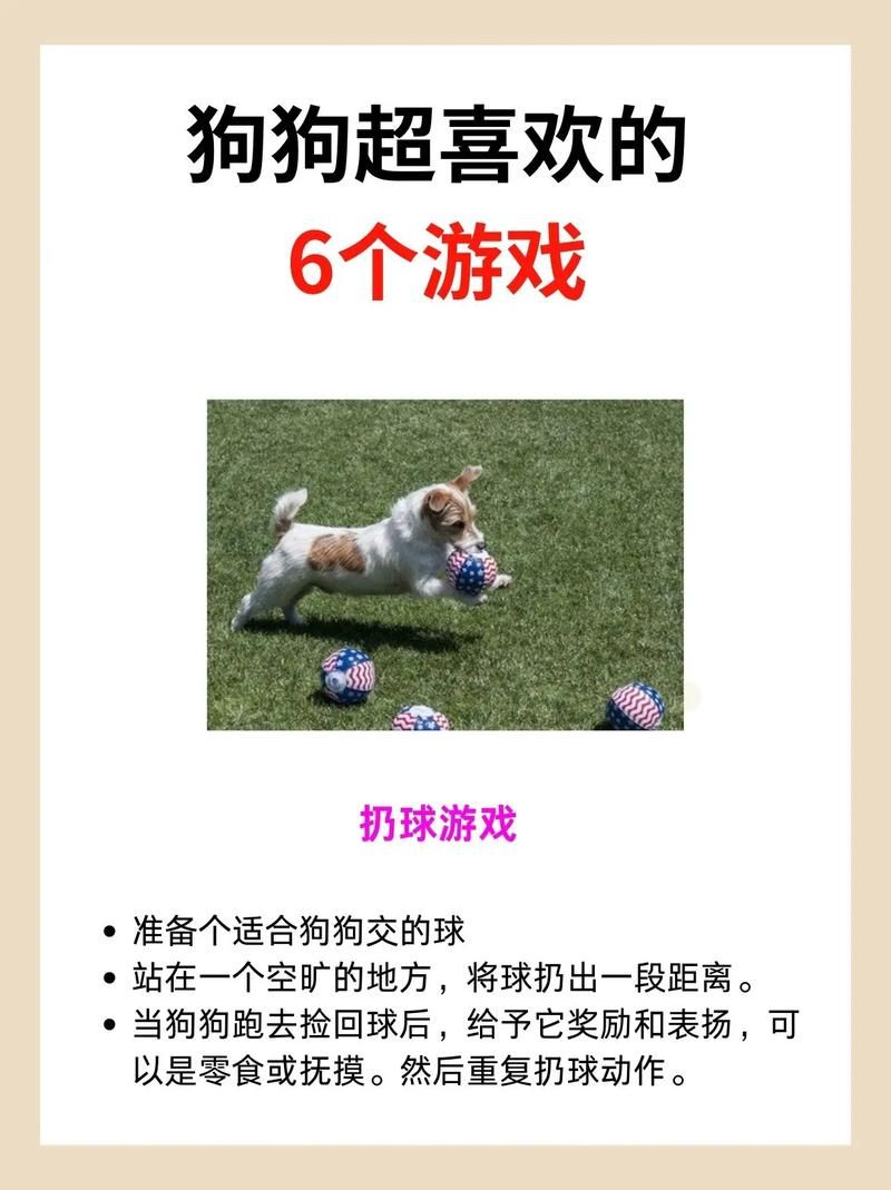 游戏狗下载怎么用？新手教程让你快速上手！