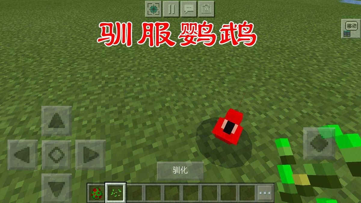 游戏里的韧性属性重要吗？老玩家告诉你答案！