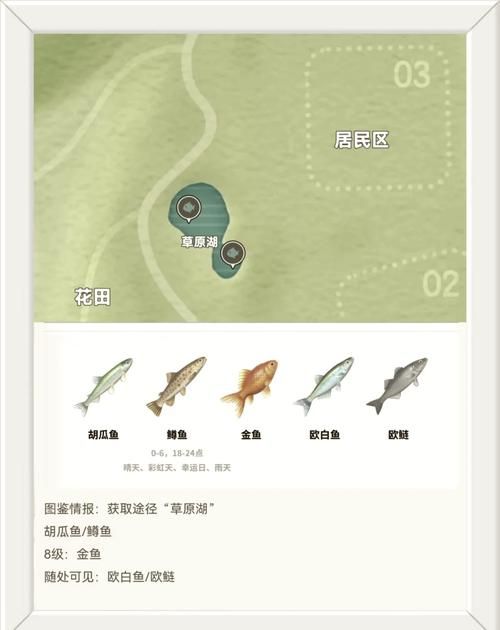 游戏鲨鱼游戏怎么玩？新手必看超详细攻略！