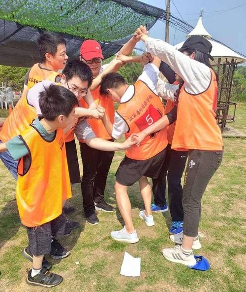 热门体育团体游戏推荐，一起玩转团队合作！