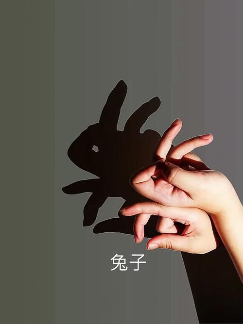 照相机手指游戏大比拼！看看谁的“照片”更有创意！