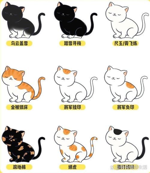照顾宠物的游戏大盘点，铲屎官们快来认领！