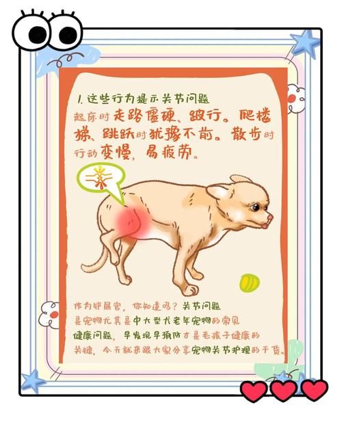 照顾宠物的游戏大盘点，铲屎官们快来认领！