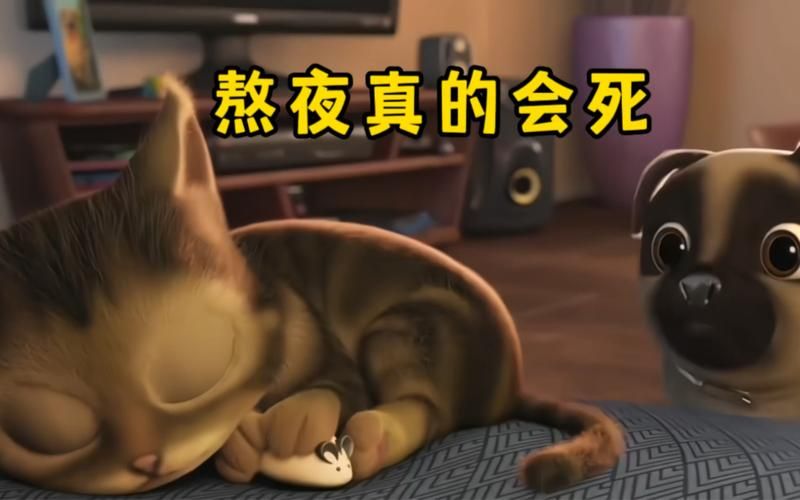 熬夜也要玩！夜晚的游戏讲的是什么？