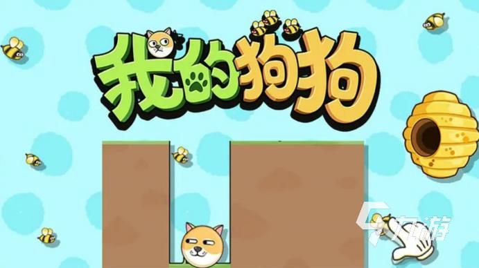 狗狗喜欢玩的游戏是什么？这几个互动游戏推荐给你！