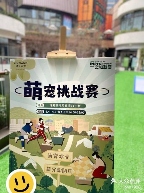 狗狗运动会游戏机多少钱？不同型号价格对比看这里！