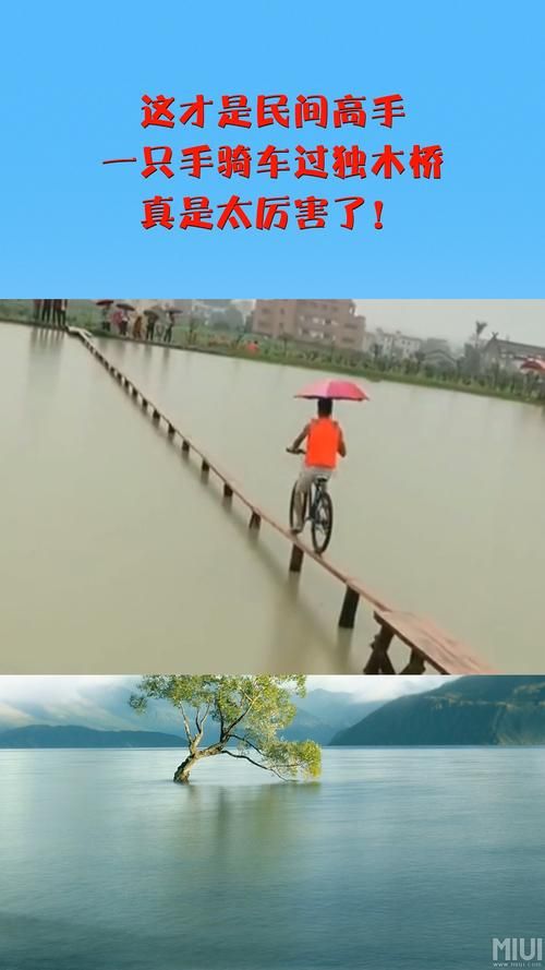 独木桥游戏玩法规则详解，看完这篇就能成为高手！