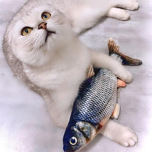 猫吃鱼的游戏手机版推荐，解放双手逗猫神器！