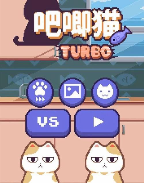 猫咪最爱玩的游戏是什么？这几个互动游戏超有趣！