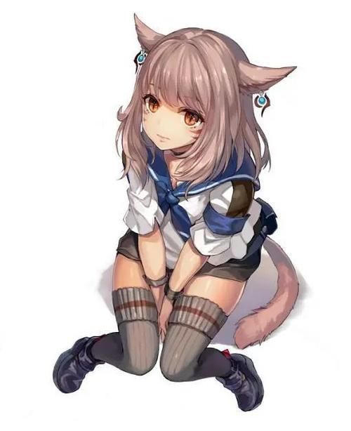 猫耳少女游戏有哪些？超可爱的猫娘等你来玩！