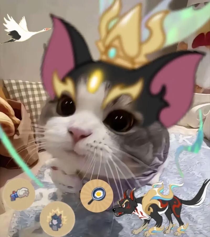 猫鼠游戏图片表情包下载，斗图聊天必备神器！