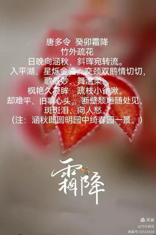 竹行千里游戏在哪下载？官方正版下载地址！