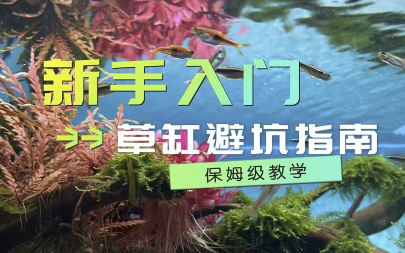 纯单机游戏怎么选？新手入门必看避坑指南！